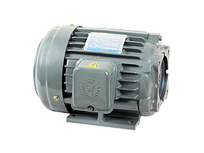 Electric Motor